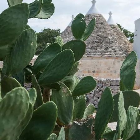 I Trulli Di Figazzano Holiday home Locorotondo