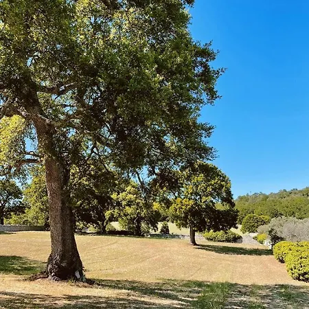 I Trulli Di Figazzano Casa vacanze